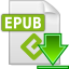 ePub File